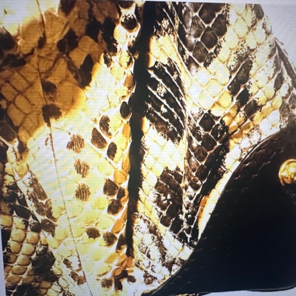 Gucci Real Python Bag Brand New MSRP - $3550 NWT - image 16